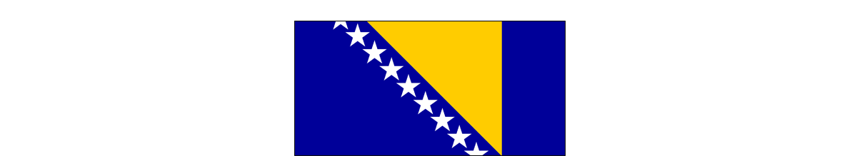 flag of Bosnia and Herzegovina